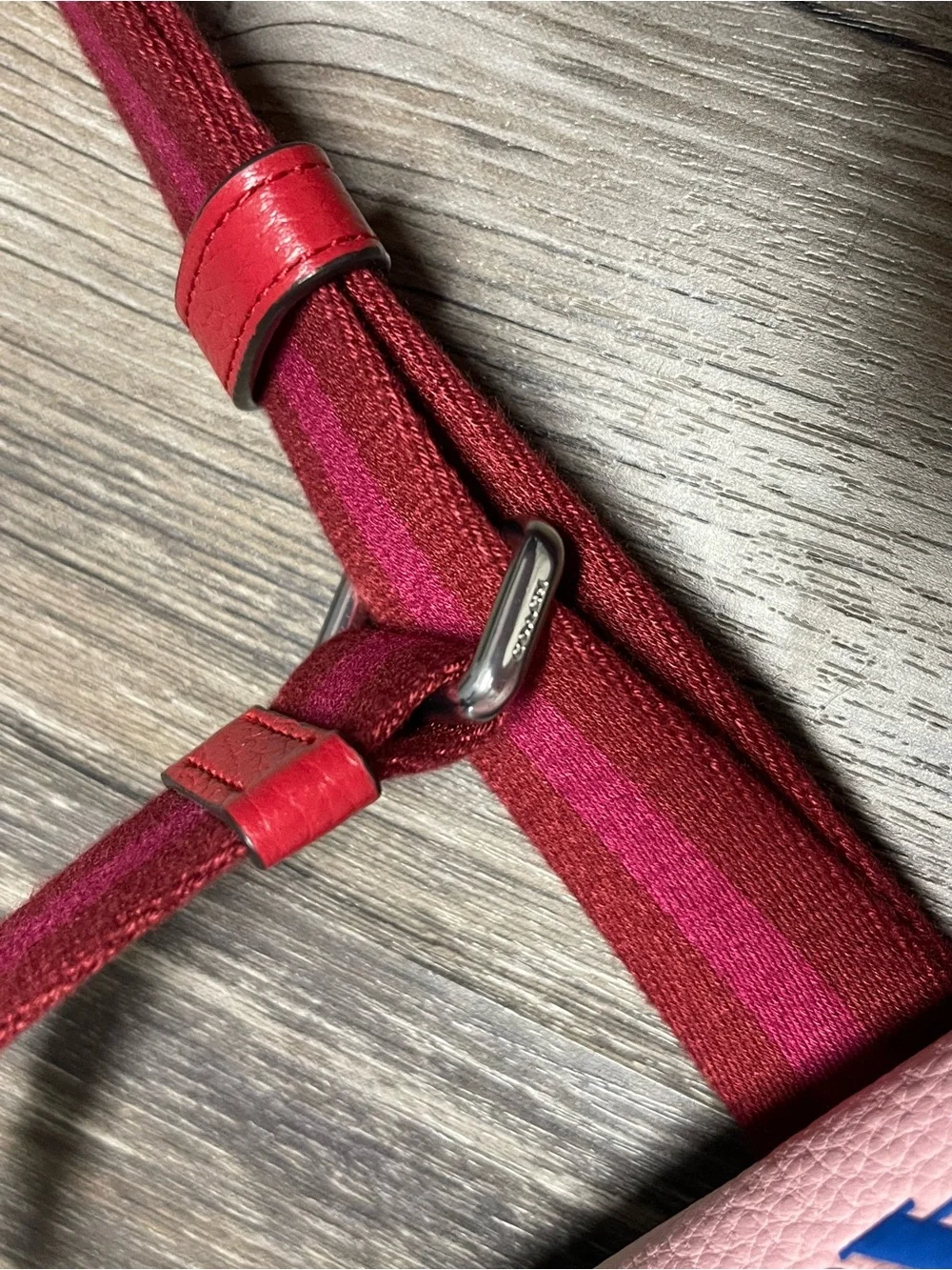 Coach Mini Jamie Camera Bag with Ski Speed Graphic in Powder Pink Wine Multi